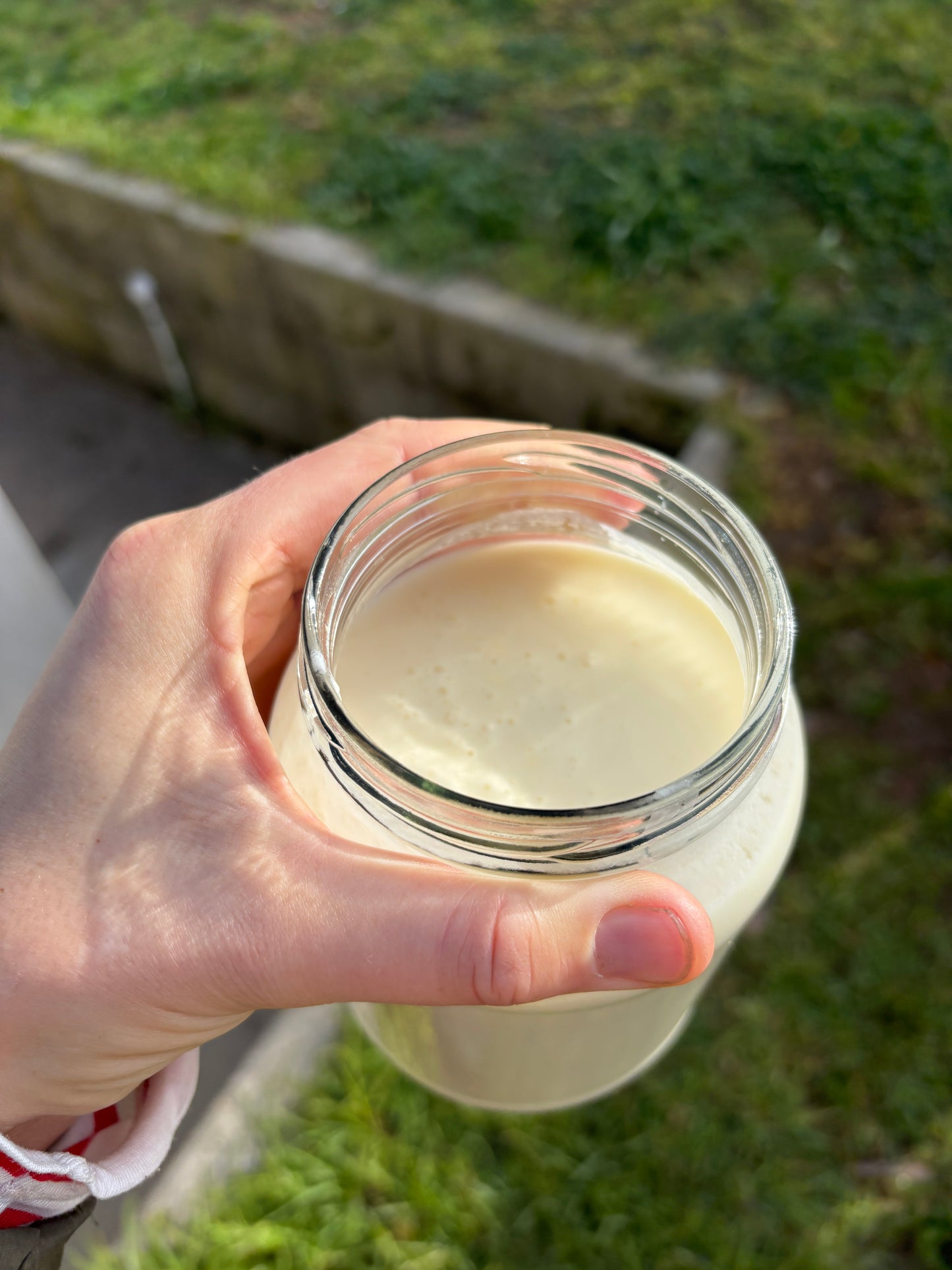 Kefir