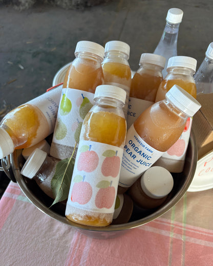 Organic Apple Juice 300ml Frozen