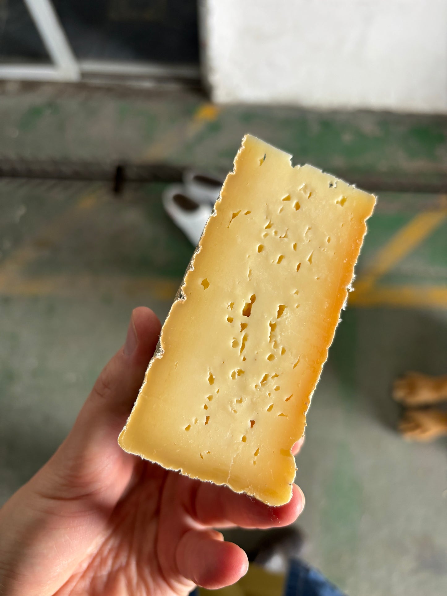 Bo Berg Tomme 3 months