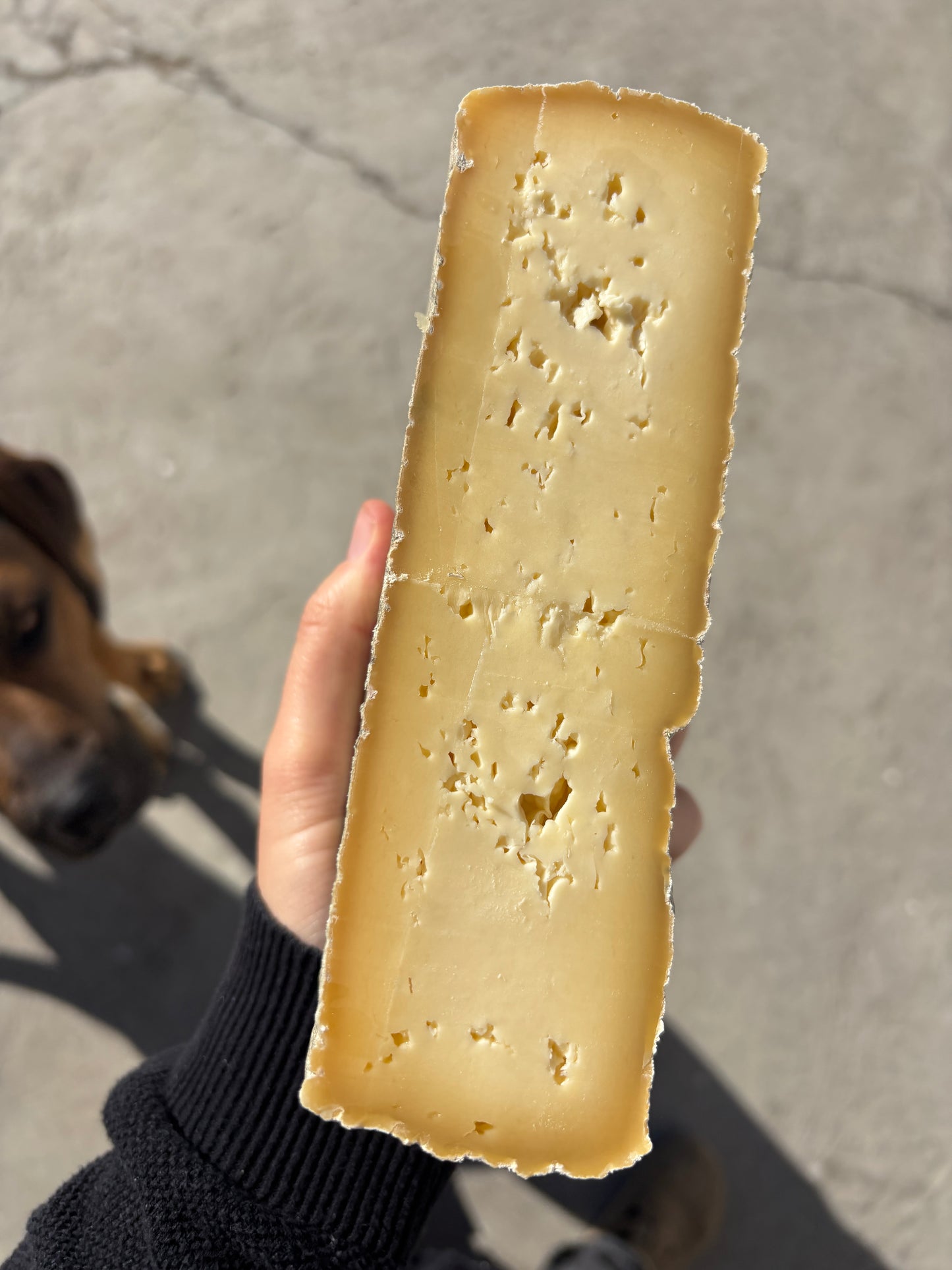 Bo Berg Tomme 3 months