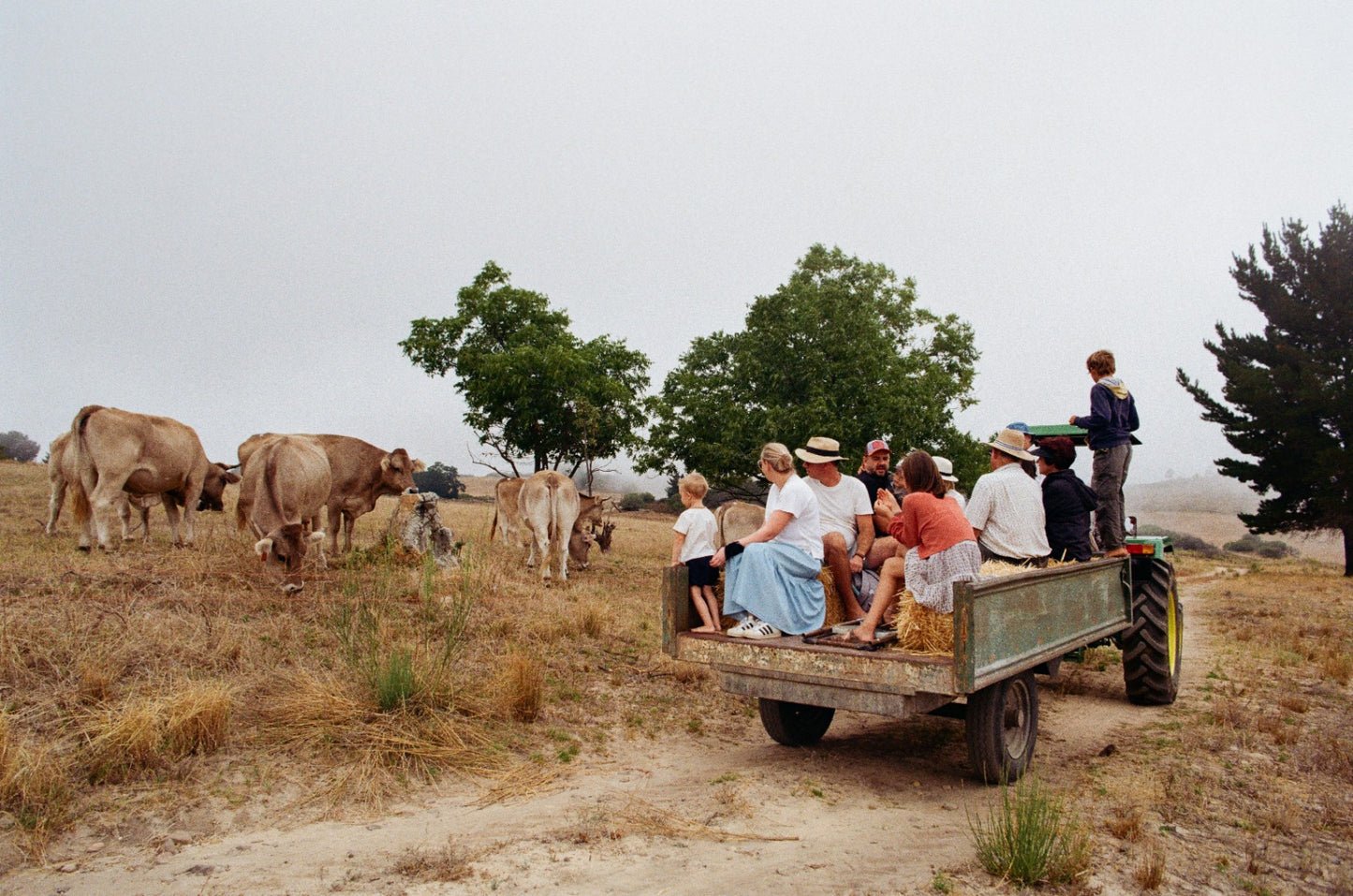 Herd Share
