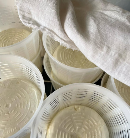 Ricotta